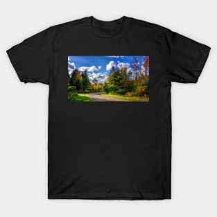 Dirt Road on a Sunny Autumn Day T-Shirt